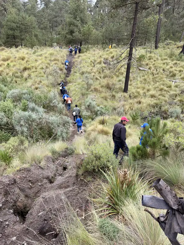 Una fila de personas baja por un sendero entre zacatones y pinos en la ladera del Nevado de Toluca.